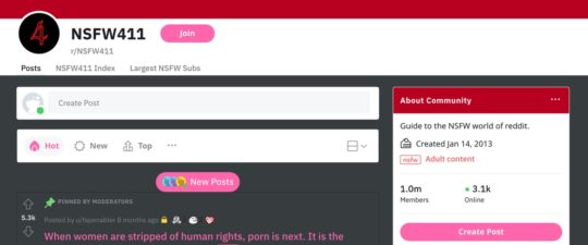 NSFW411, Porn Search Engines