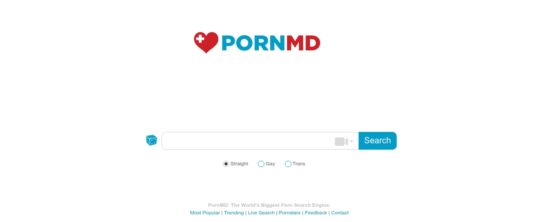 PornMD, Porn Search Engines