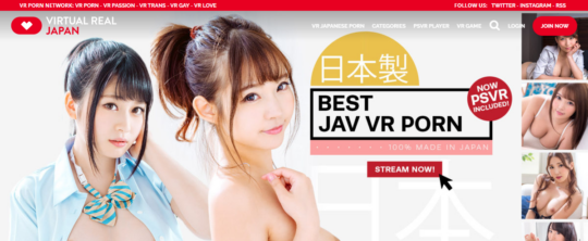 VirtualRealJapan, VR Porn Sites